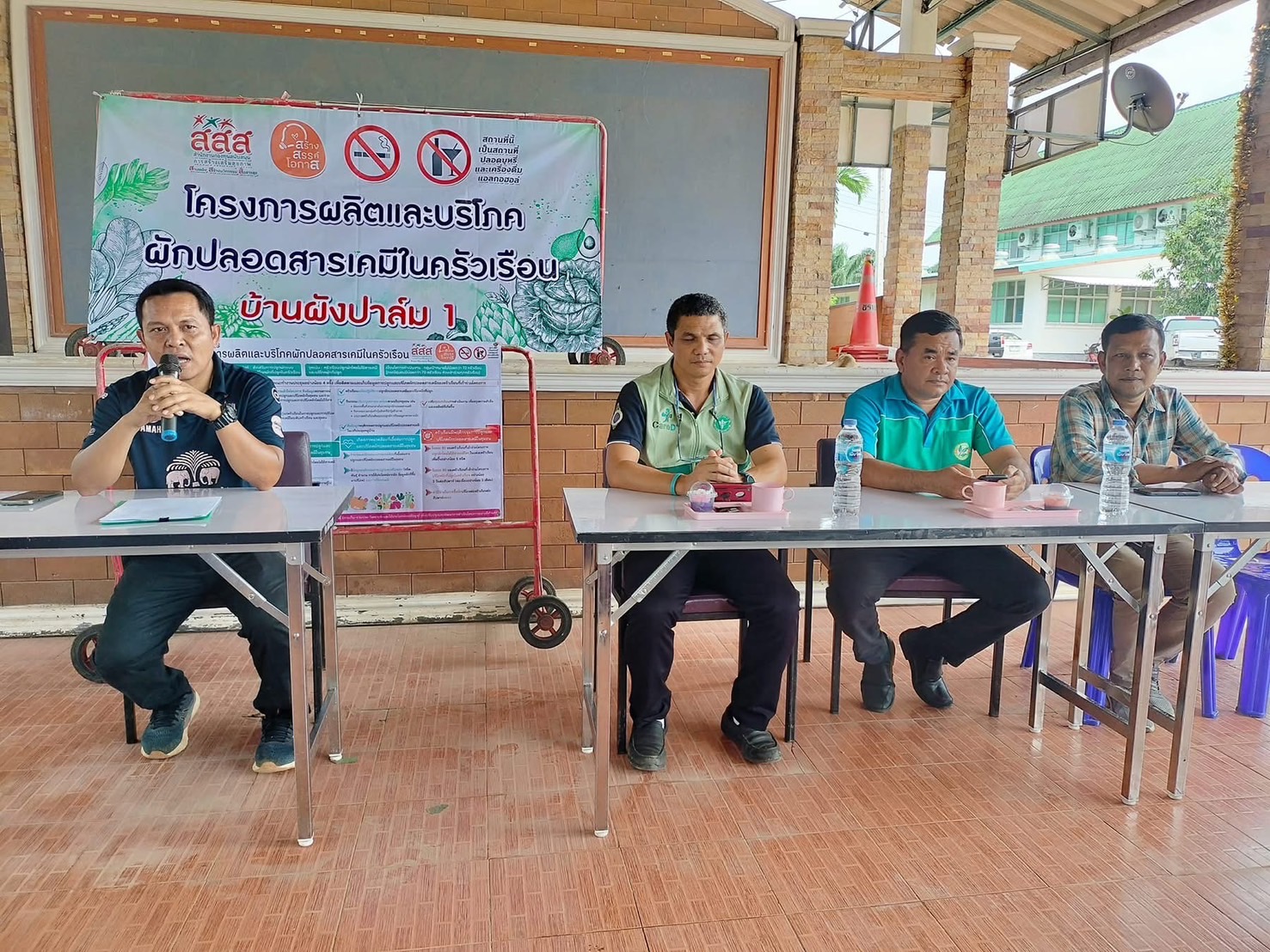 โครงการผลิตและการบริโภคผักปลอดสารเคมีในครัวเรือน ชุมชนบ้านผังปาล์ม 1